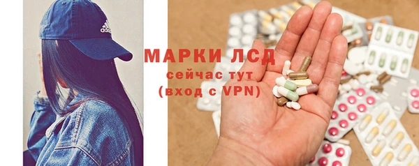 spice Богородск