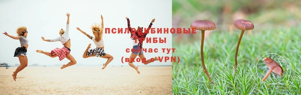 spice Аркадак