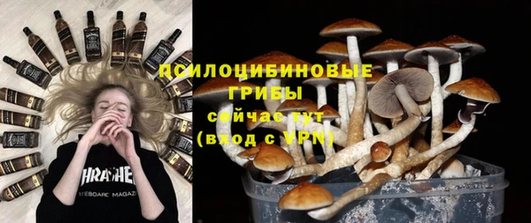 spice Аркадак