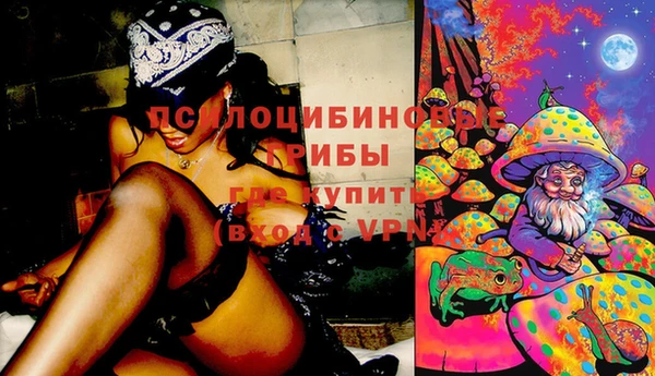spice Аркадак