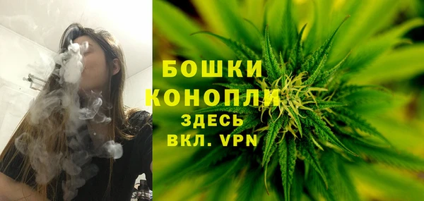 spice Аркадак