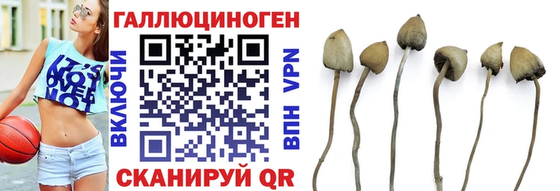 купить  цена  blacksprut ТОР  Псилоцибиновые грибы мухоморы  сайты даркнета официальный сайт  Солигалич 