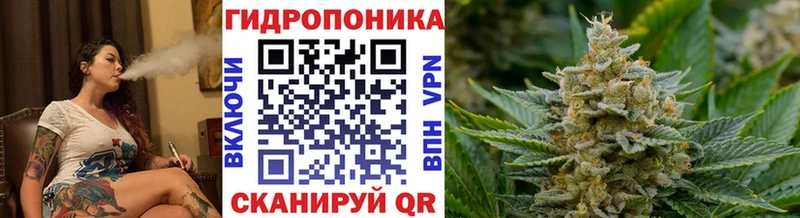 Канабис SATIVA & INDICA  Солигалич 